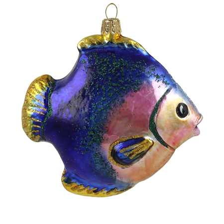 Regenbogenfarbiger Fisch