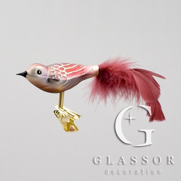 Glasvogel Rot
