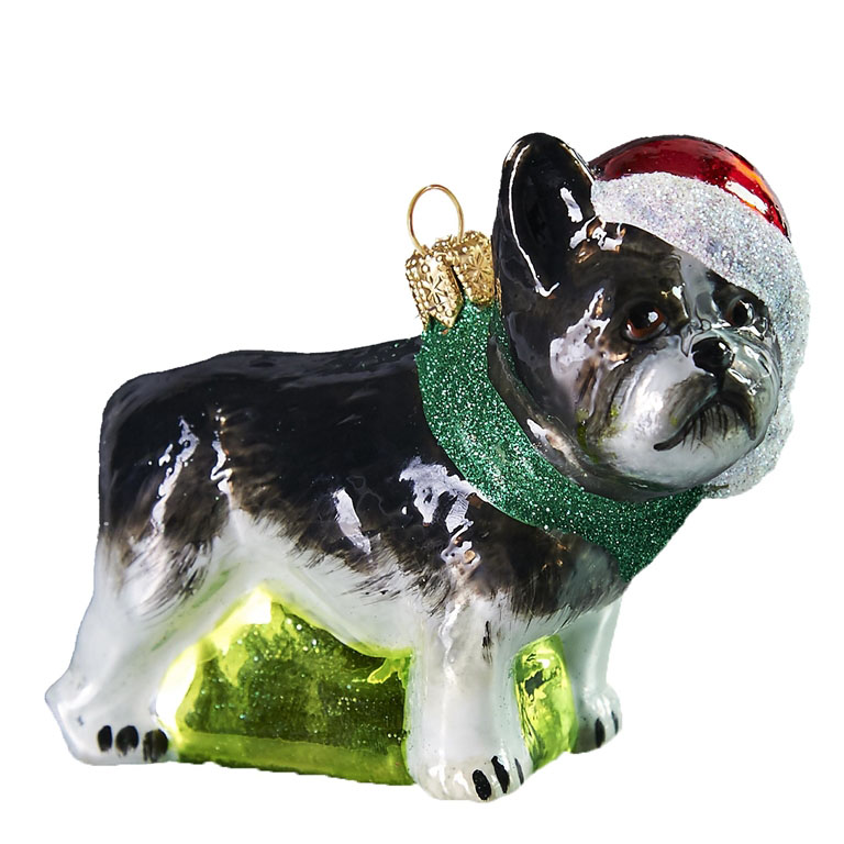 Glashund Französischer Bulldogge
