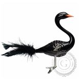 Schwarz glänzender Schwan Schwarz glänzender Schwan