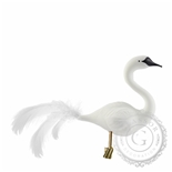 Weißer Schwan mit schwarzem Schnabel Weißer Schwan mit schwarzem Schnabel