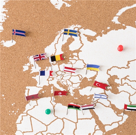 Flaggenstifte für Pinnwand von Europa