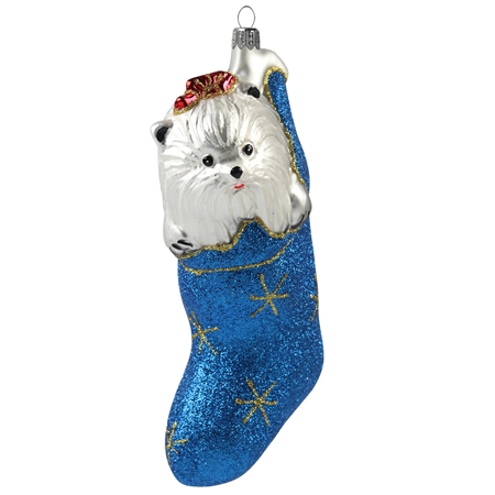 Weißer Hund in einer blauen Socke