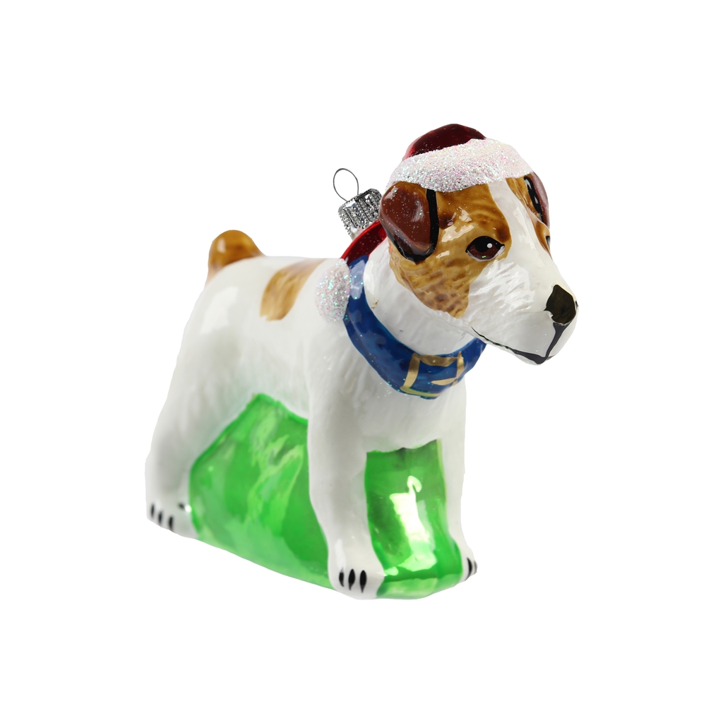 Jack Russell Terrier mit Weihnachtsmütze