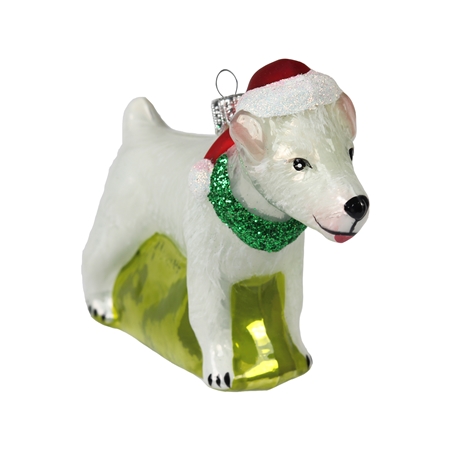 Weißer Jack Russell Terrier mit Weihnachtsmütze