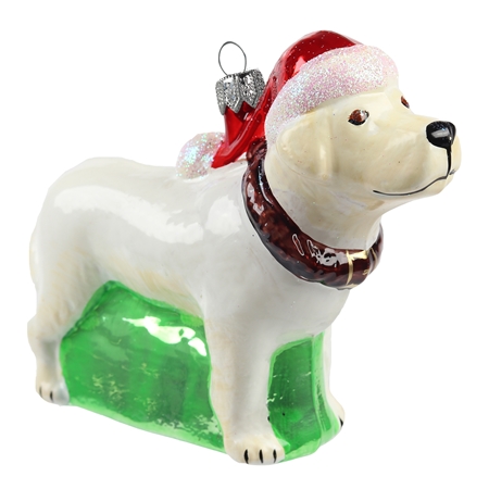 Gelber Labrador mit Weihnachtsmütze
