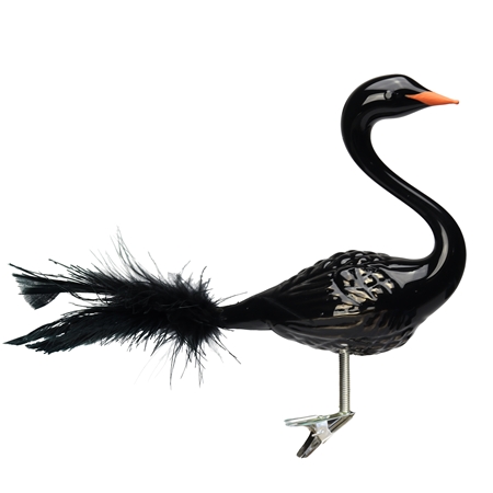 Schwarz glänzender Schwan