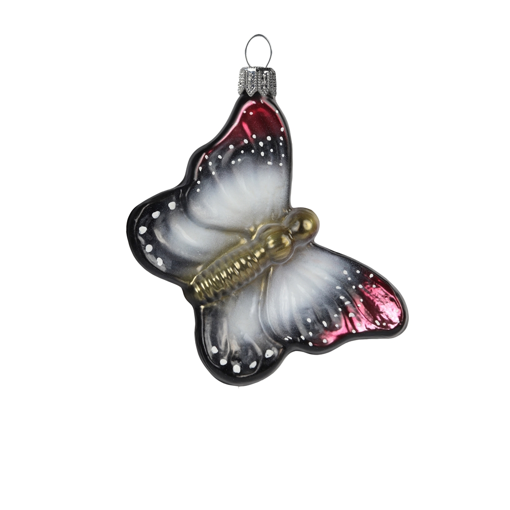 Grauer Schmetterling mit ockerfarbenem Körper