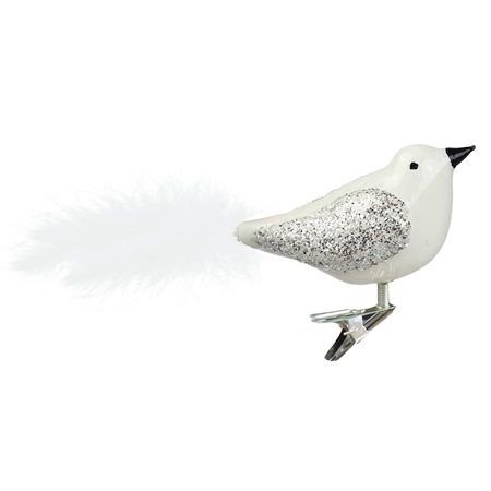 Glasvogel Weiß