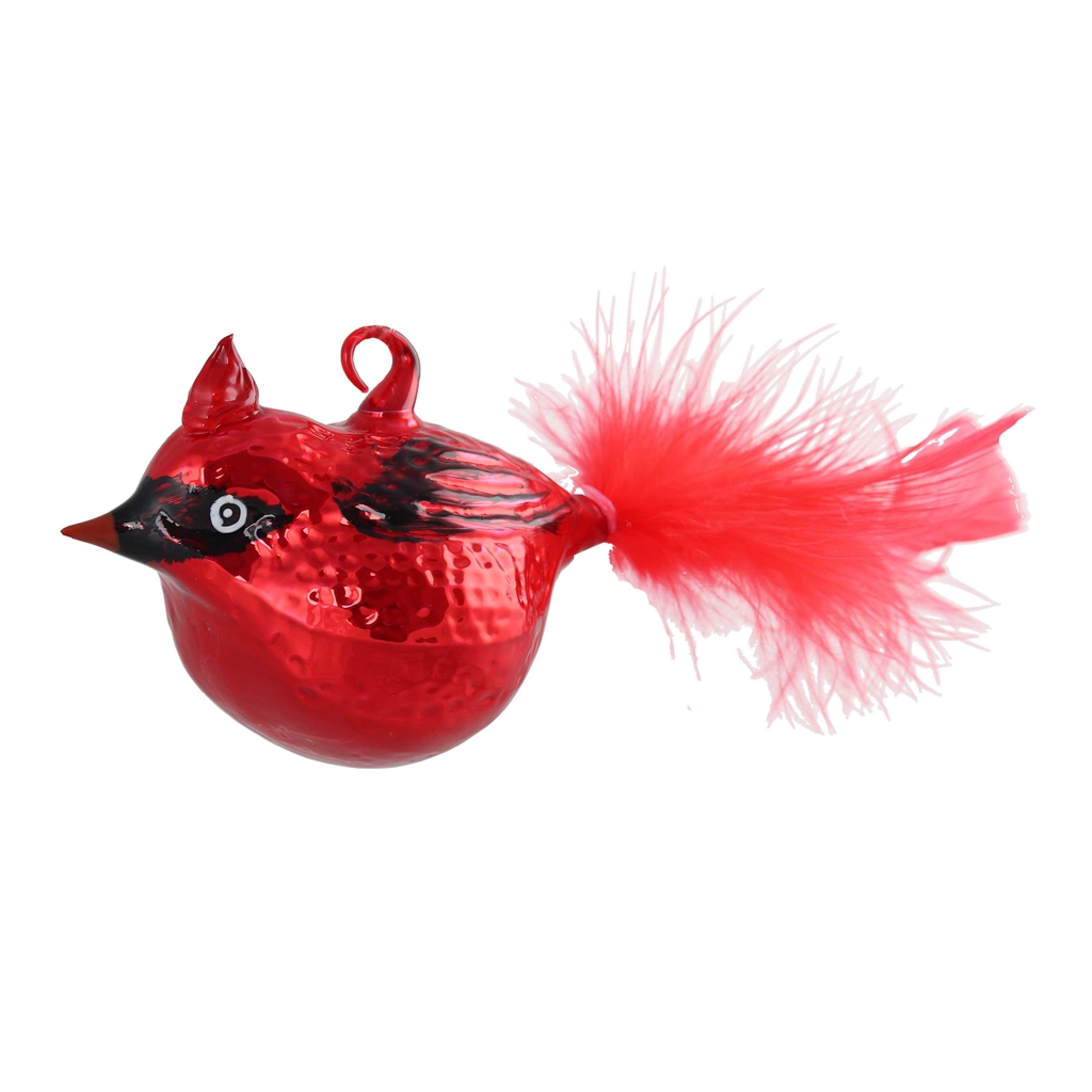 Roter Vogel mit einem Büschel Kardinal