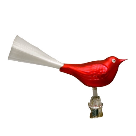 Glasvogel rot
