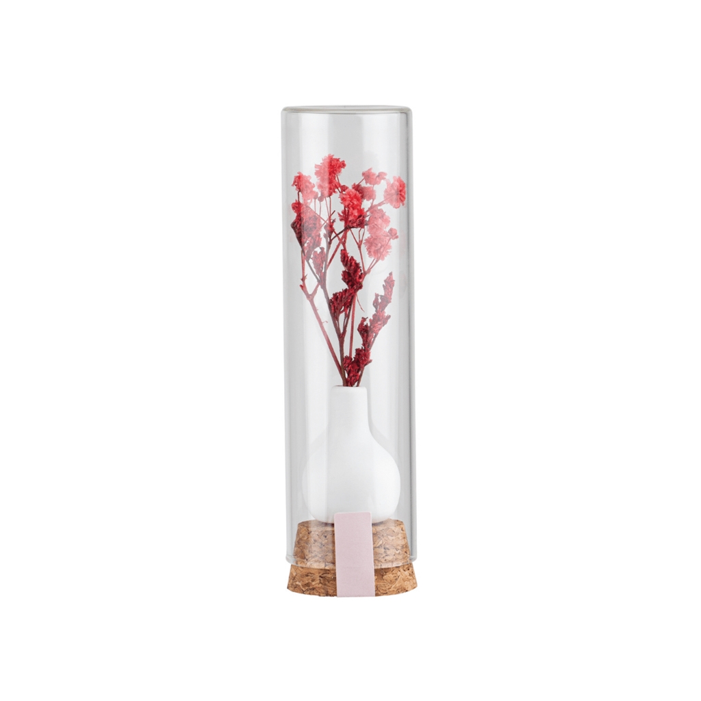 Geschenkblume im Glas rot