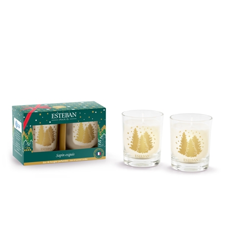  Set Minikerzen Exquisite fir