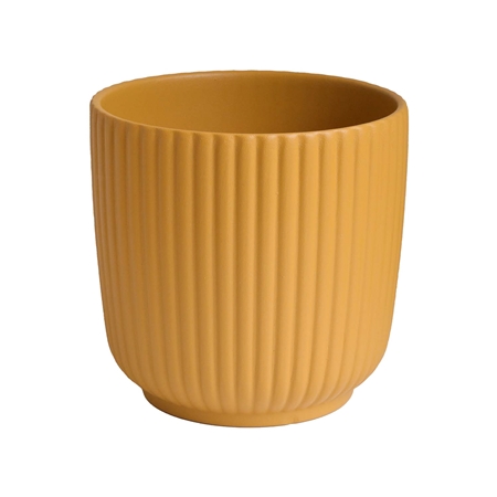Luna Senf Blumentopf