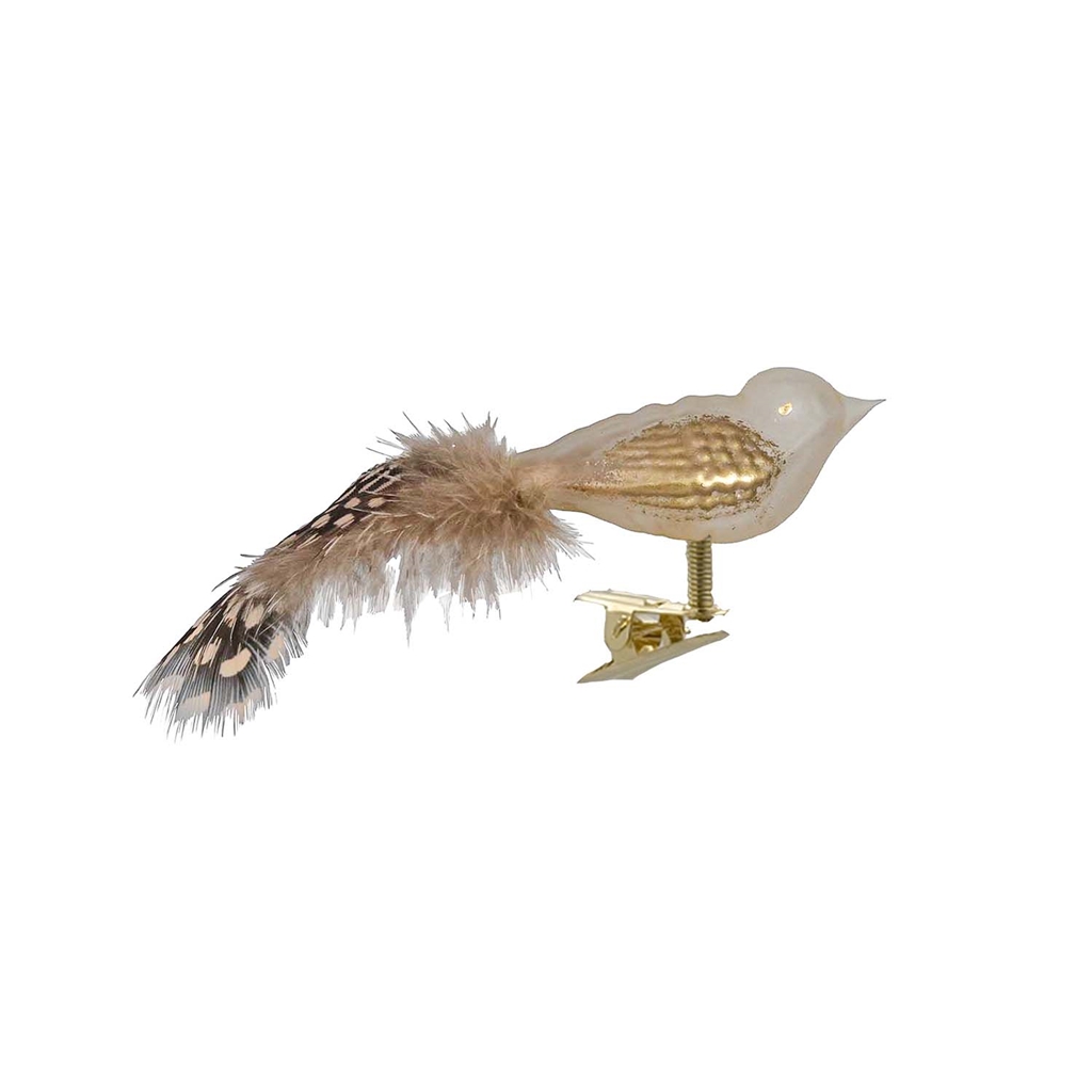 Cremiger Glasvogel mit goldenem Schaum
