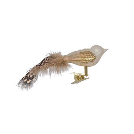 Cremiger Glasvogel mit goldenem Schaum