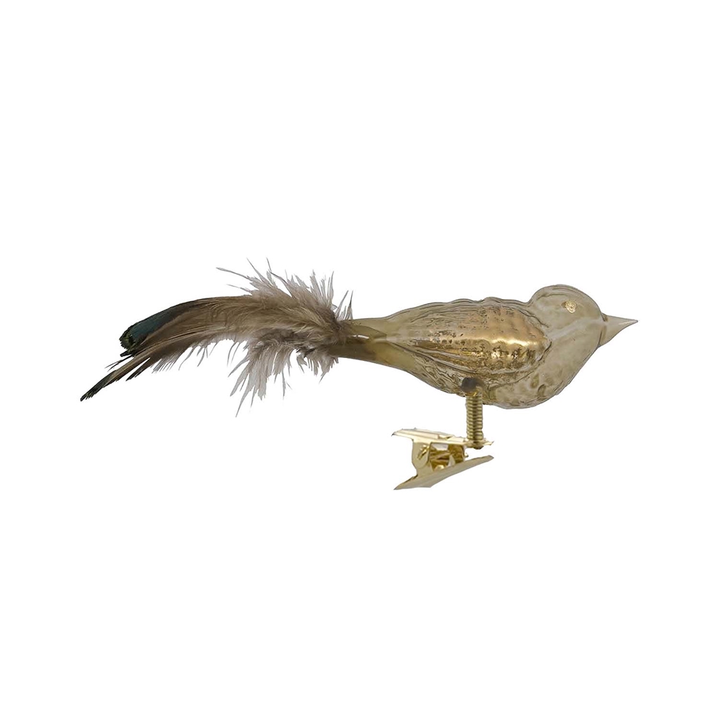 Olivgrüner Glasvogel mit goldener Paspelierung