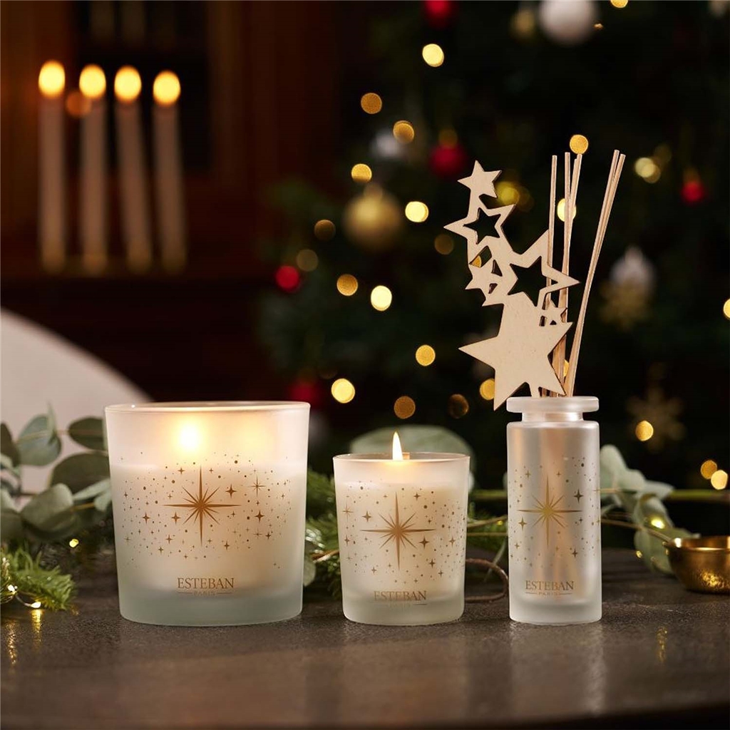 Stabdiffusor Exquisite Fir