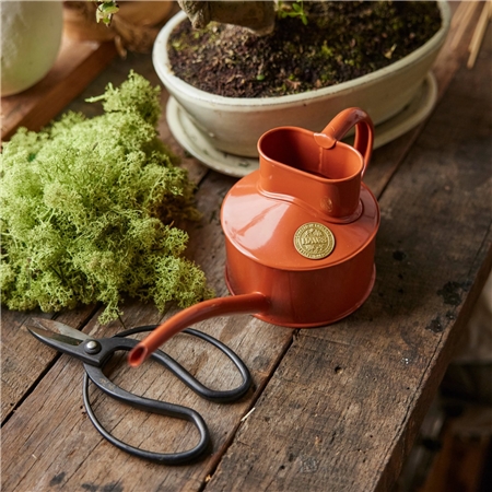 Blumentopf Terrakotta orange 0,7