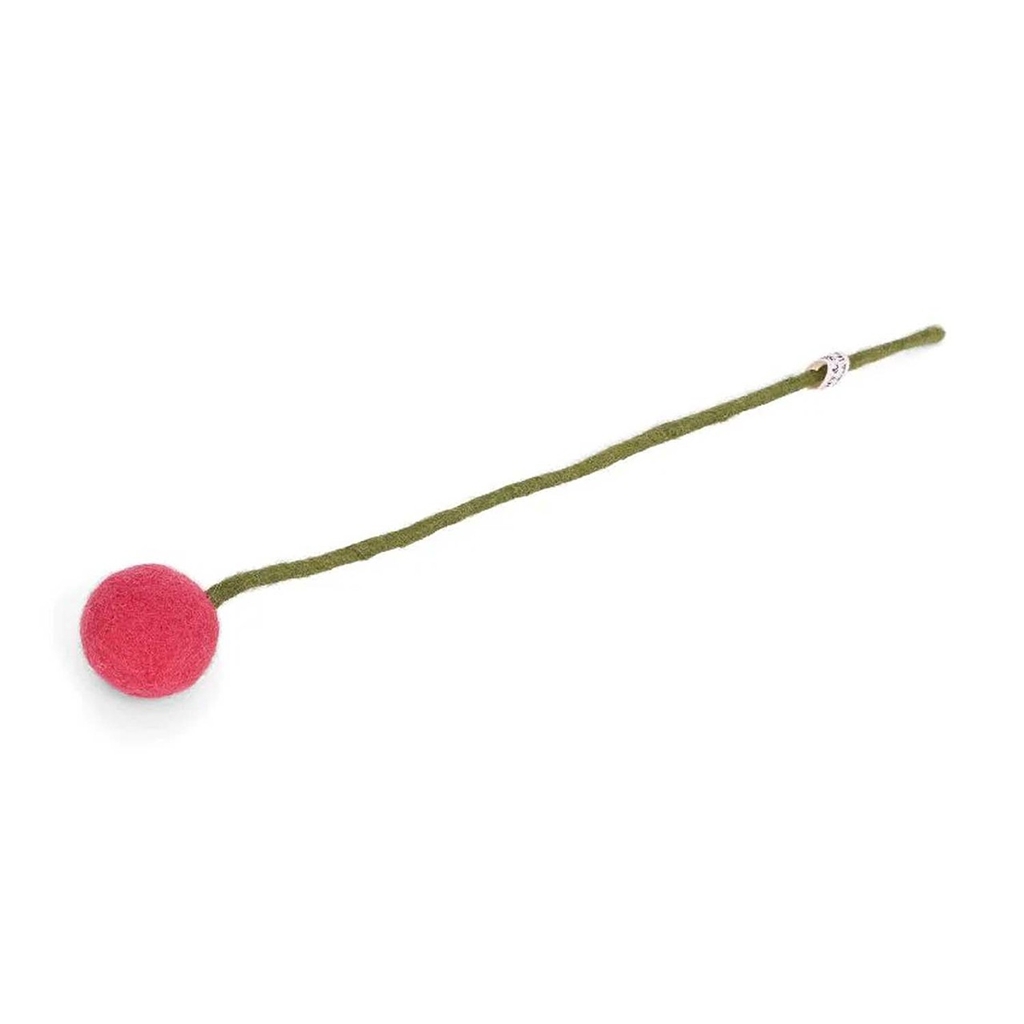 Filzblume melonenrot mittel