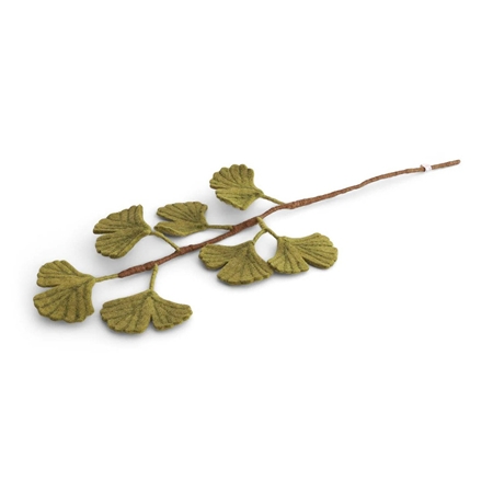 Filzzweig von Ginkgo biloba