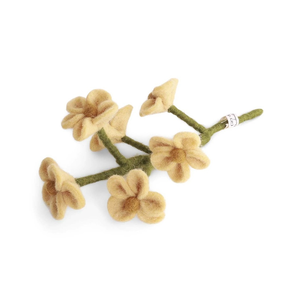 Filzblume Vergissmeinnicht hellgelb