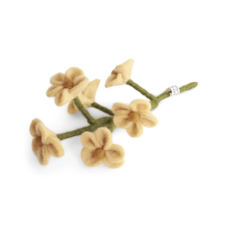 Filzblume Vergissmeinnicht hellgelb