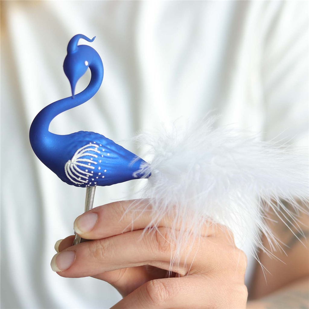 Ein Schwan in Nachtfarben mit einer Haube