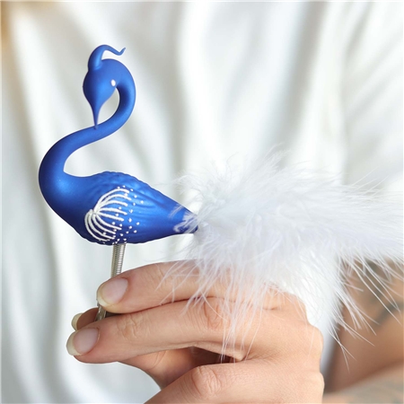Ein Schwan in der Farbe der Nacht mit einer Haube